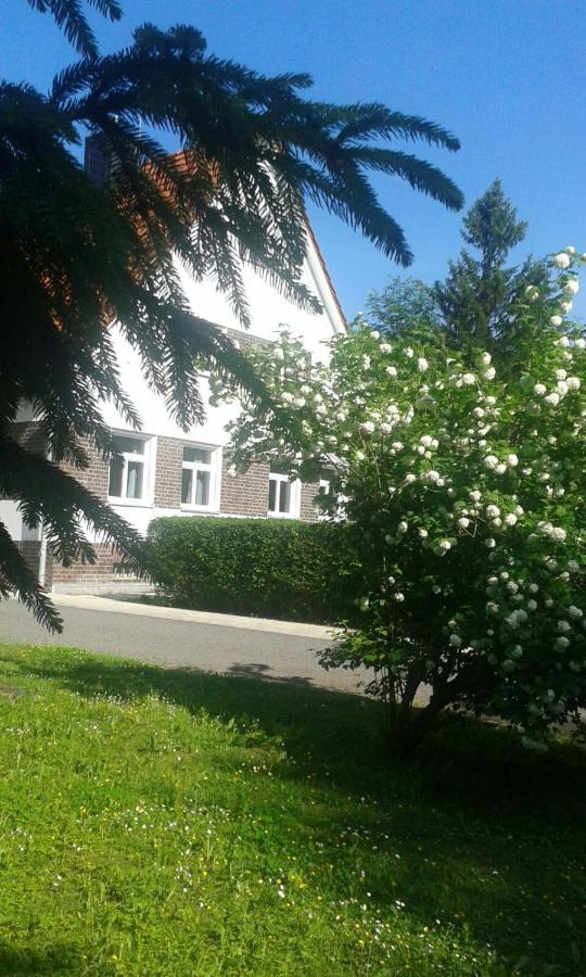 Forsthaus Wegenerskopf Apartman Thale Kültér fotó